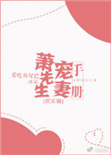 蕭先生寵妻手冊小說封面