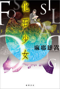 化石少女小说封面