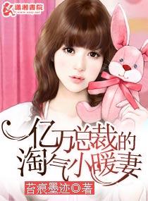 亿万总裁的淘气小暖妻全文免费阅读 亿万总裁的淘气小暖妻全文免费阅读