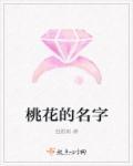 剩女的黄金 剩女的黄金