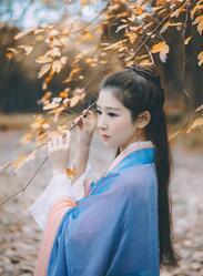 太子萌妃是什么电视剧