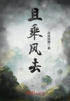且乘风去 且乘风去